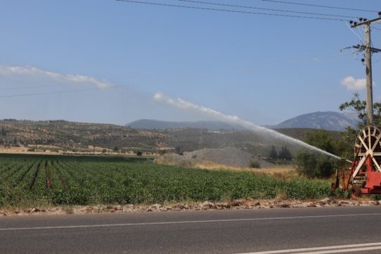 Αγροτική καλλιέργεια